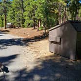 Review photo of San Isabel National Forest Baby Doe Campground by Katie H., September 3, 2020