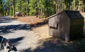 Katie H.'s photo of camping with pets at San Isabel National Forest Baby Doe Campground near Climax, CO