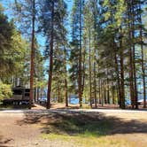 Review photo of San Isabel National Forest Baby Doe Campground by Katie H., September 3, 2020