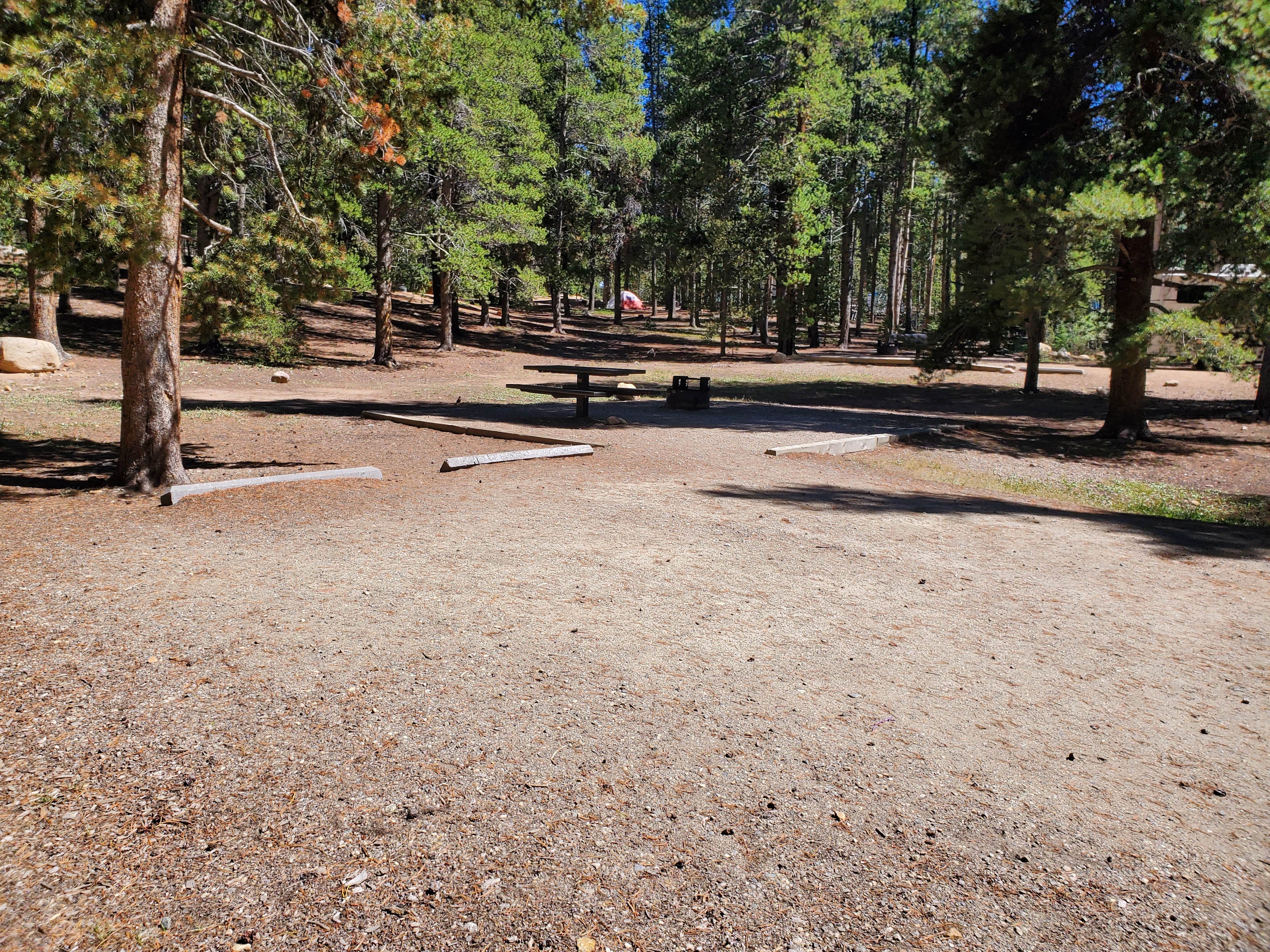 Camper-submitted photo at San Isabel National Forest Baby Doe Campground near Granite, CO
