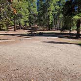 Review photo of San Isabel National Forest Baby Doe Campground by Katie H., September 3, 2020