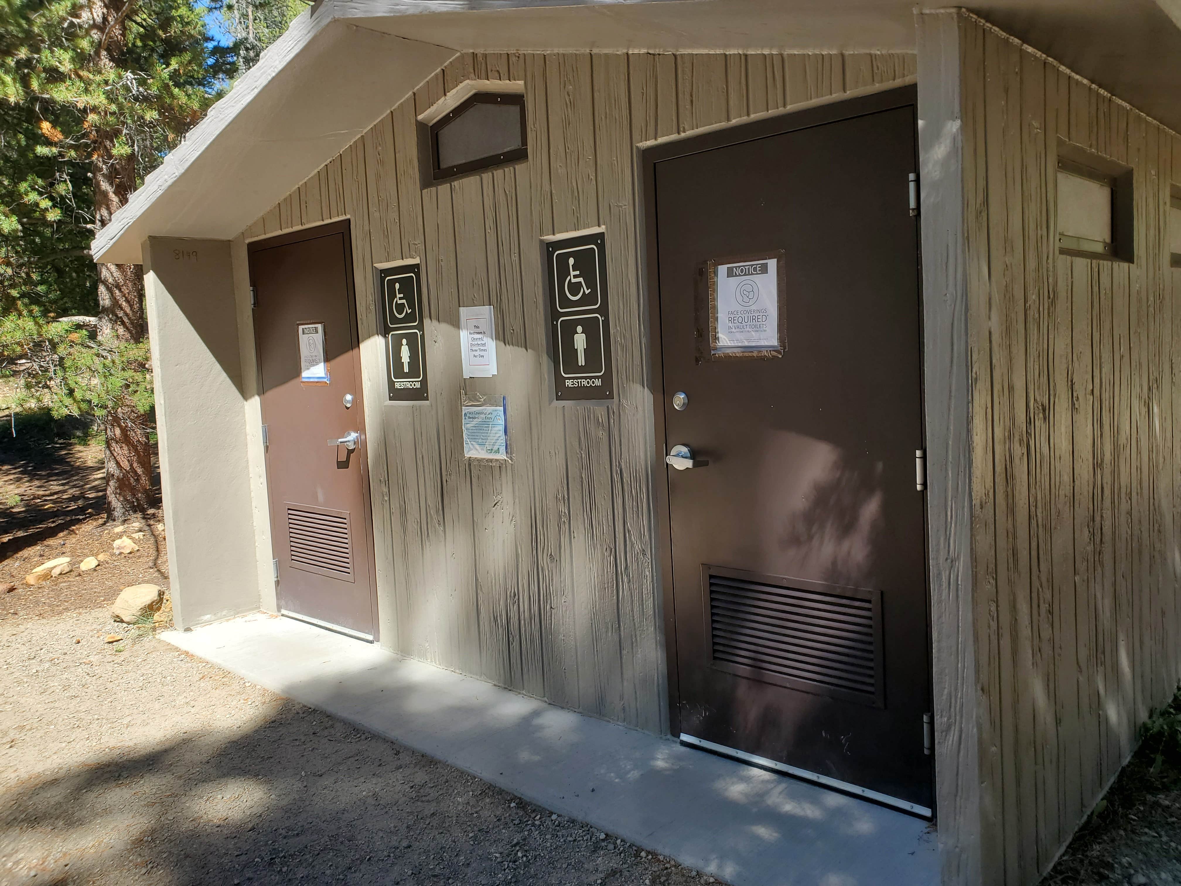 Camper-submitted photo at San Isabel National Forest Baby Doe Campground near Granite, CO