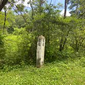 Review photo of Greenbrier River Trail Milepost 63.8 Primitive Campsite by Dave V., September 4, 2020