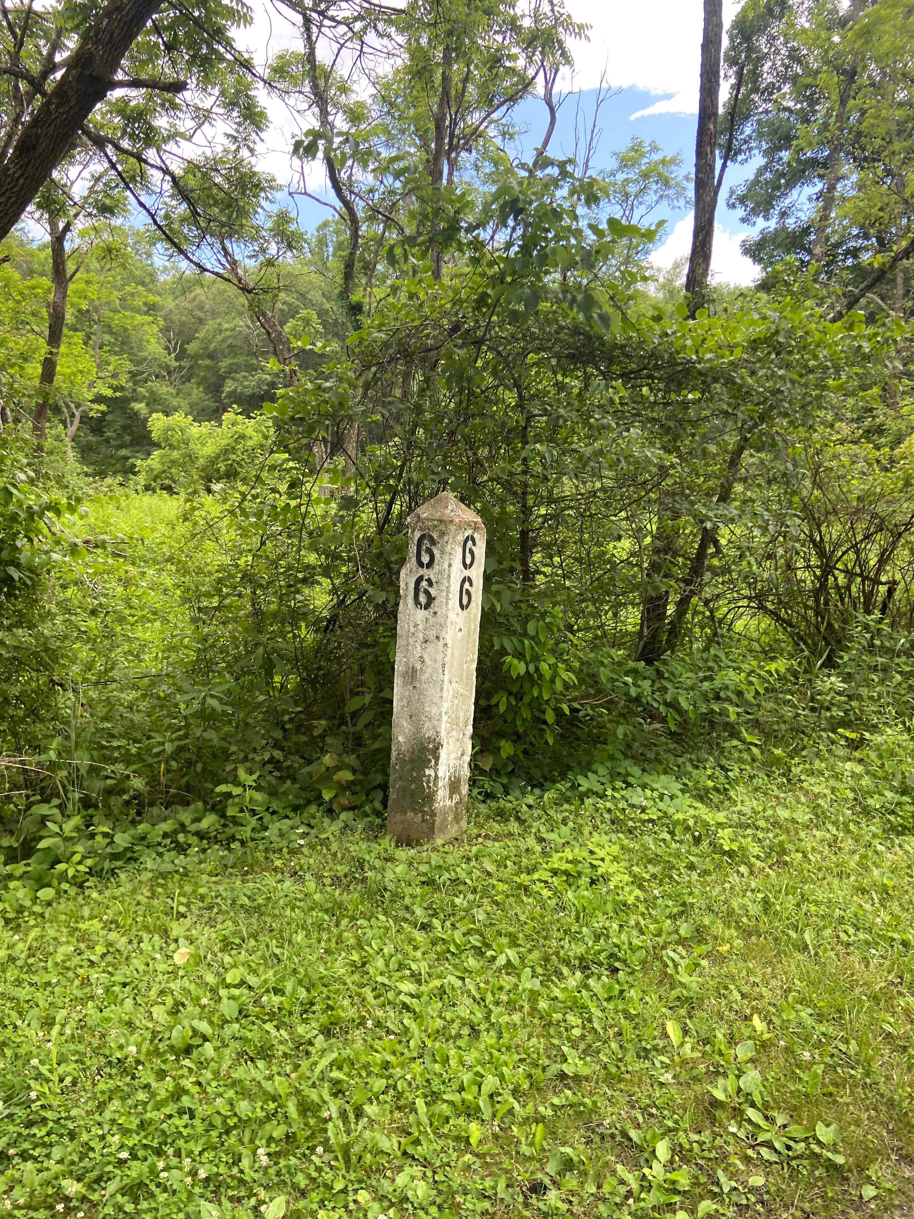 Camper submitted image from Greenbrier River Trail Milepost 63.8 Primitive Campsite - 4