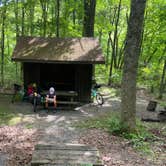 Review photo of Greenbrier River Trail Milepost 63.8 Primitive Campsite by Dave V., September 4, 2020