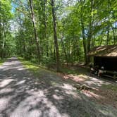 Review photo of Greenbrier River Trail Milepost 63.8 Primitive Campsite by Dave V., September 4, 2020