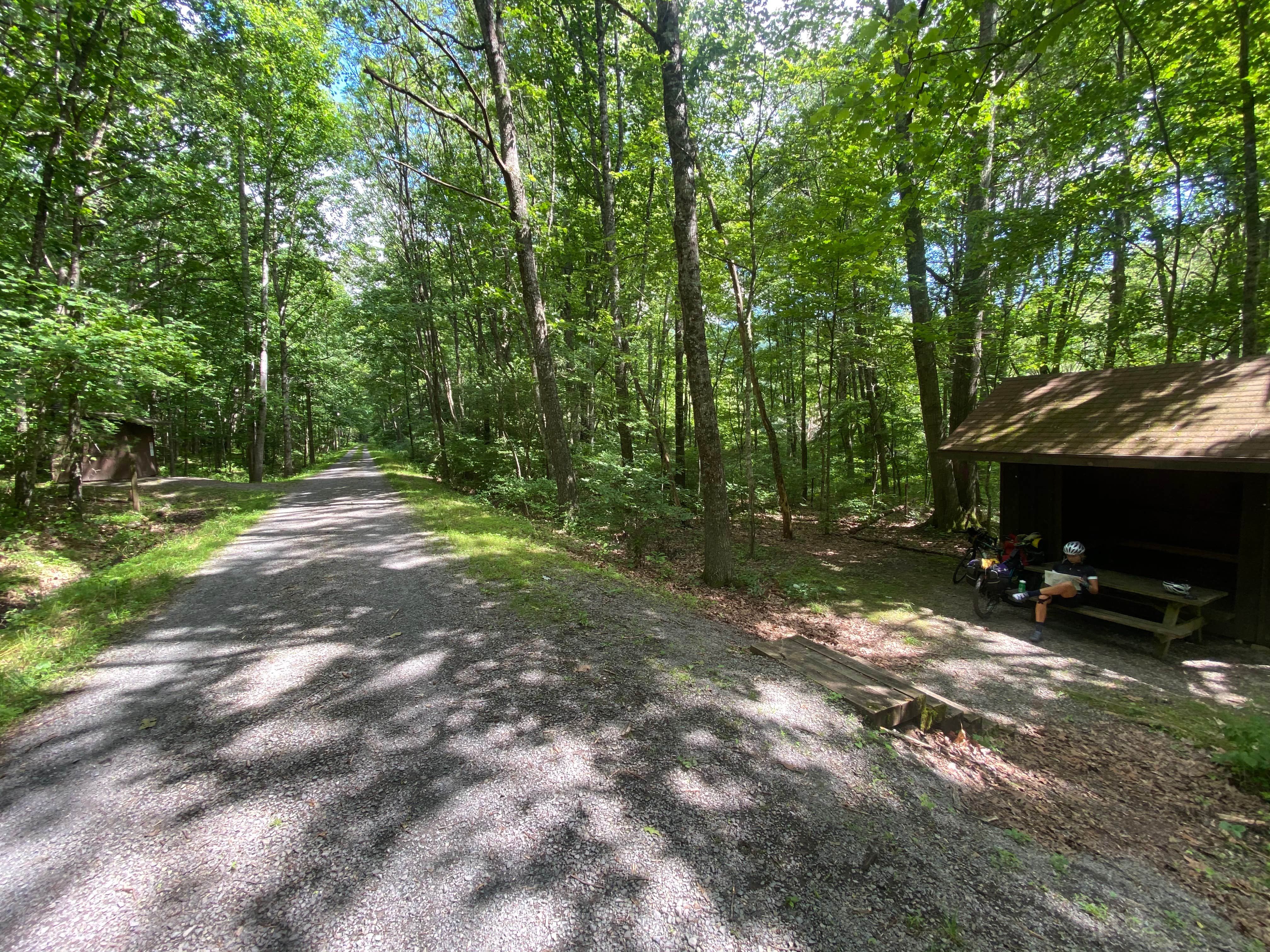 Camper submitted image from Greenbrier River Trail Milepost 63.8 Primitive Campsite - 3