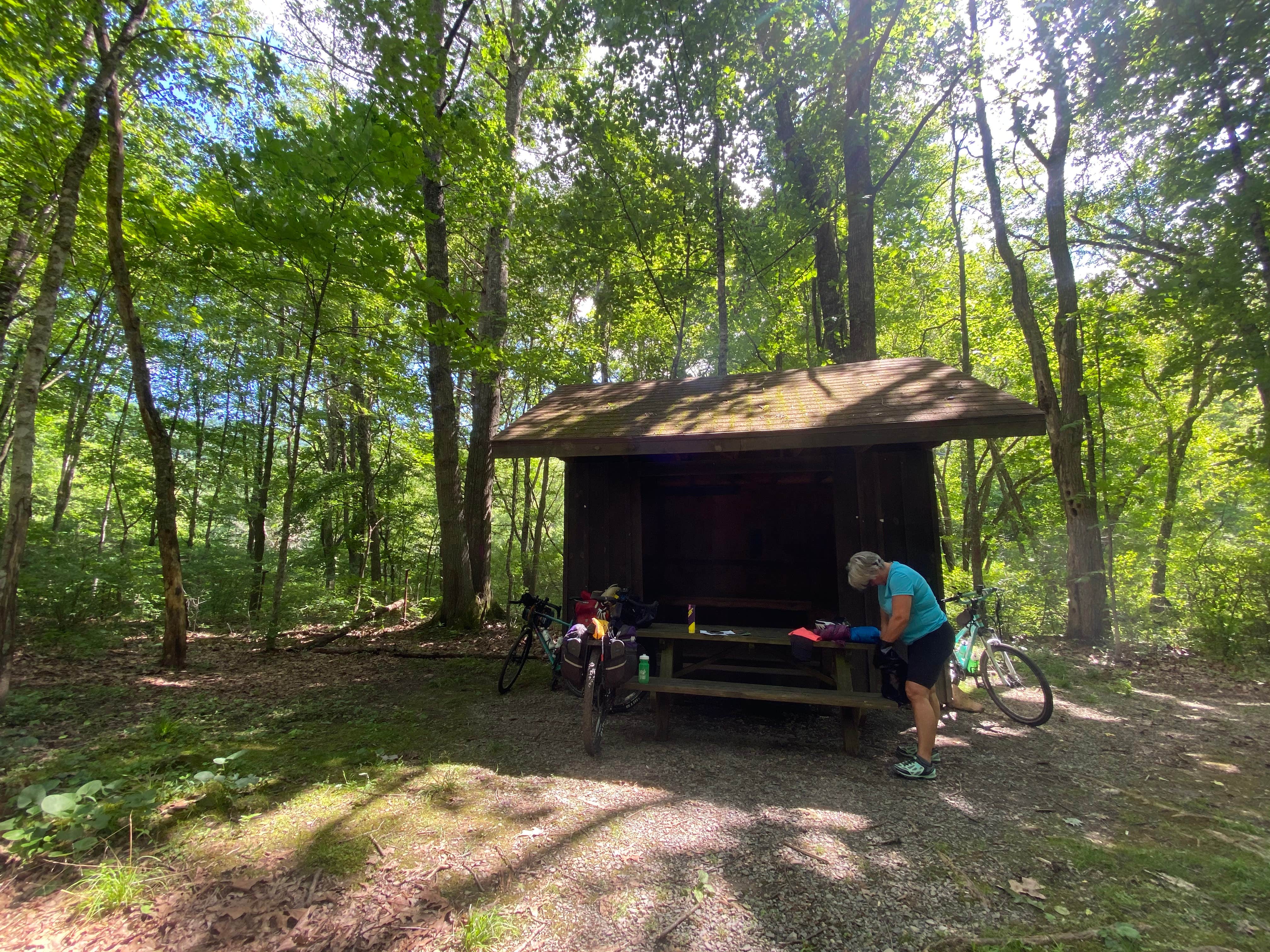 Camper submitted image from Greenbrier River Trail Milepost 63.8 Primitive Campsite - 2