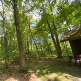 Review photo of Greenbrier River Trail Milepost 63.8 Primitive Campsite by Dave V., September 4, 2020