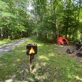 Review photo of Greenbrier River Trail Milepost 63.8 Primitive Campsite by Dave V., September 4, 2020