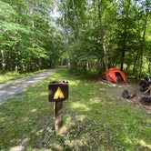 Review photo of Greenbrier River Trail Milepost 63.8 Primitive Campsite by Dave V., September 4, 2020
