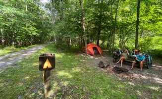 Dave V.'s photo at Greenbrier River Trail Milepost 63.8 Primitive Campsite near Hillsboro, WV