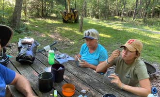 Camping near Seneca State Forest: Greenbrier River Trail Milepost 63.8 Primitive Campsite, Marlinton, West Virginia