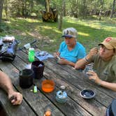 Review photo of Greenbrier River Trail Milepost 63.8 Primitive Campsite by Dave V., September 4, 2020