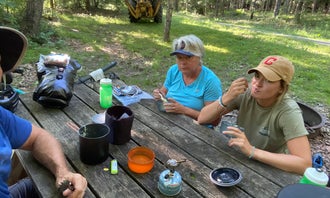 Greenbrier River Trail Milepost 63.8 Primitive Campsite