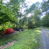 Review photo of Greenbrier River Trail Milepost 63.8 Primitive Campsite by Dave V., September 4, 2020