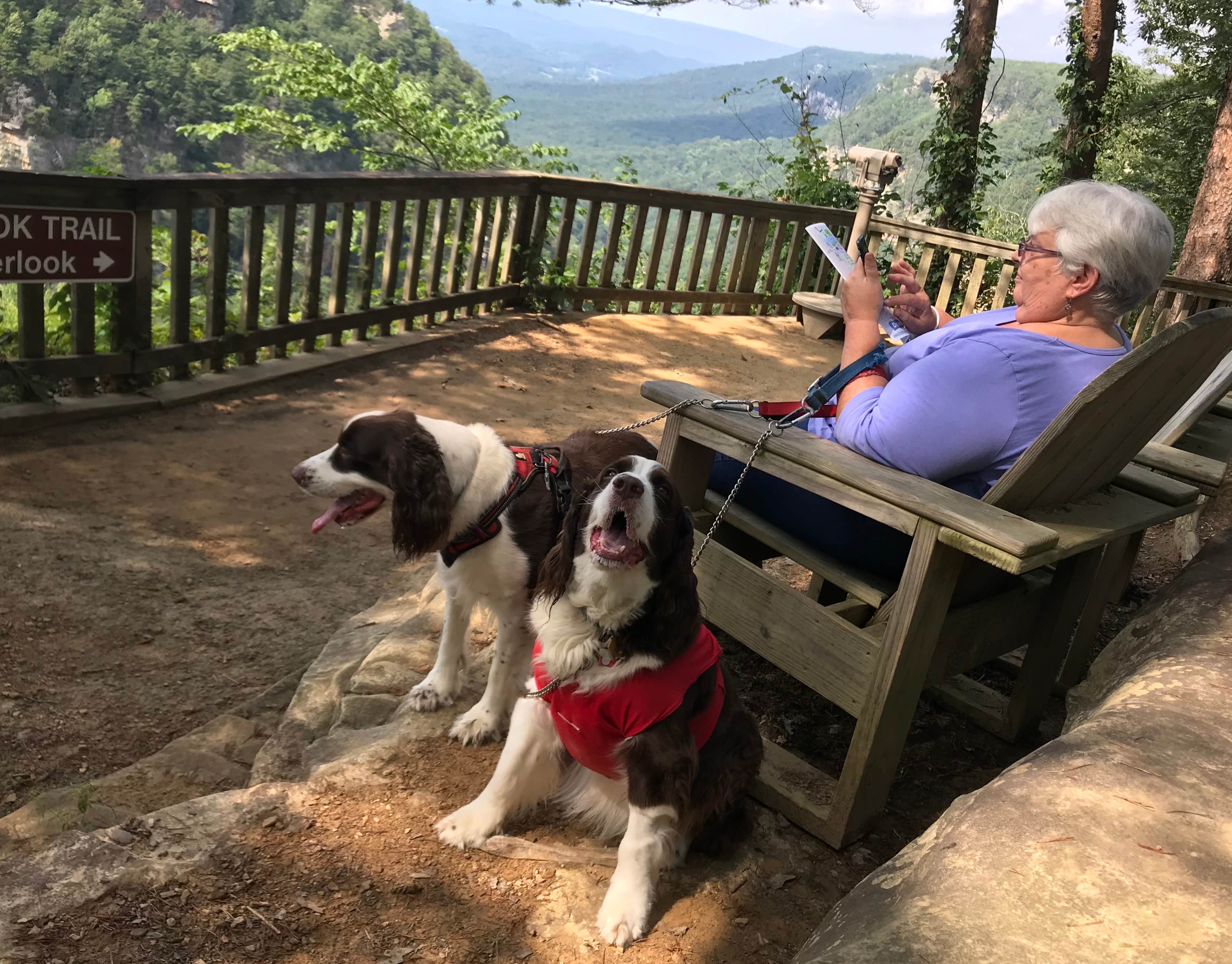 Joel R.'s photo of camping with pets at Cloudland Canyon State Park Campground near Sale Creek, TN