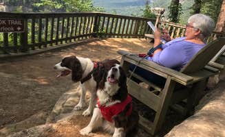 Joel R.'s photo of camping with pets at Cloudland Canyon State Park Campground near Whiteside, TN