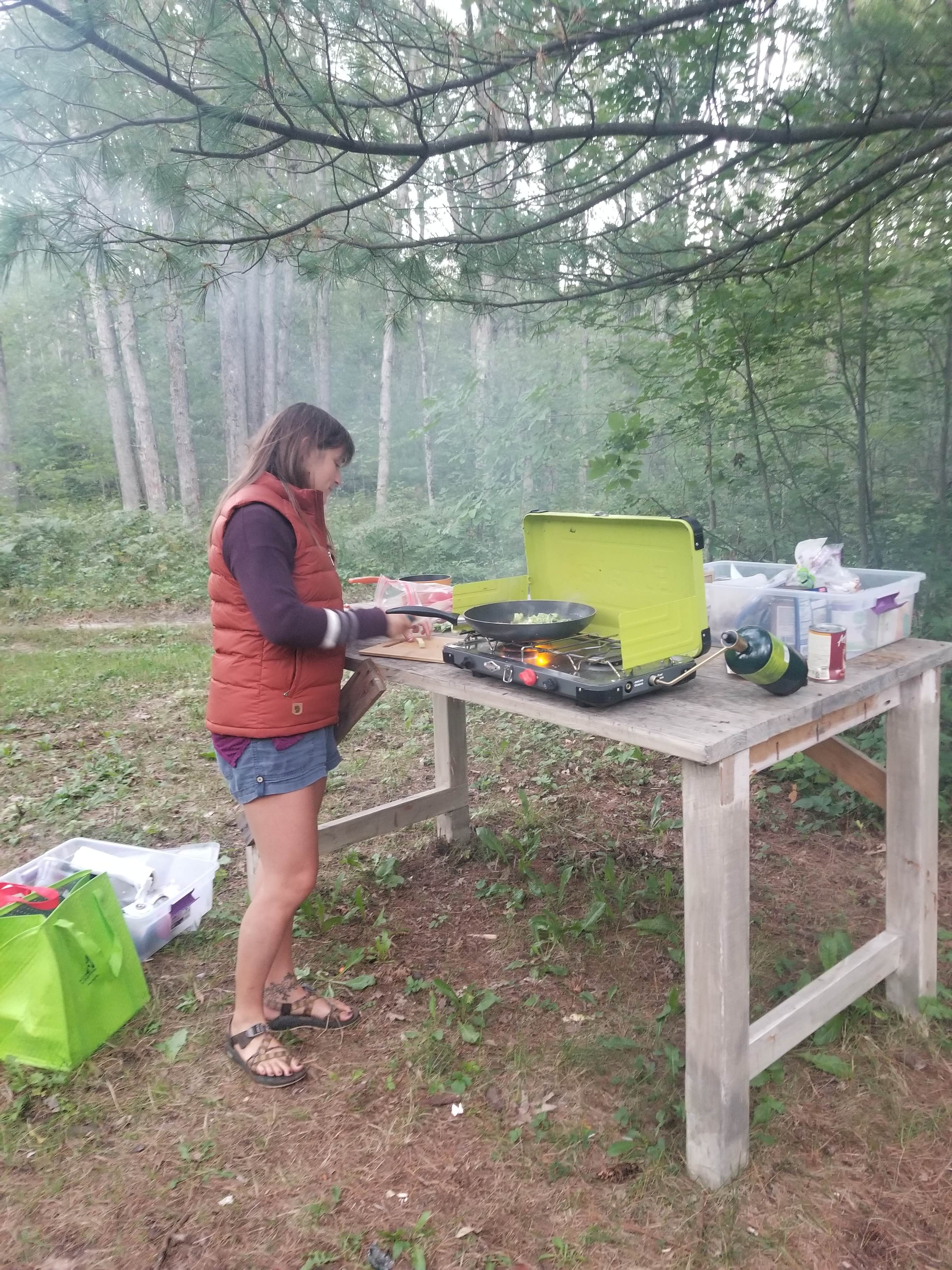 Camper-submitted photo at Coolwater on the Pine River Campground near Mesick, MI