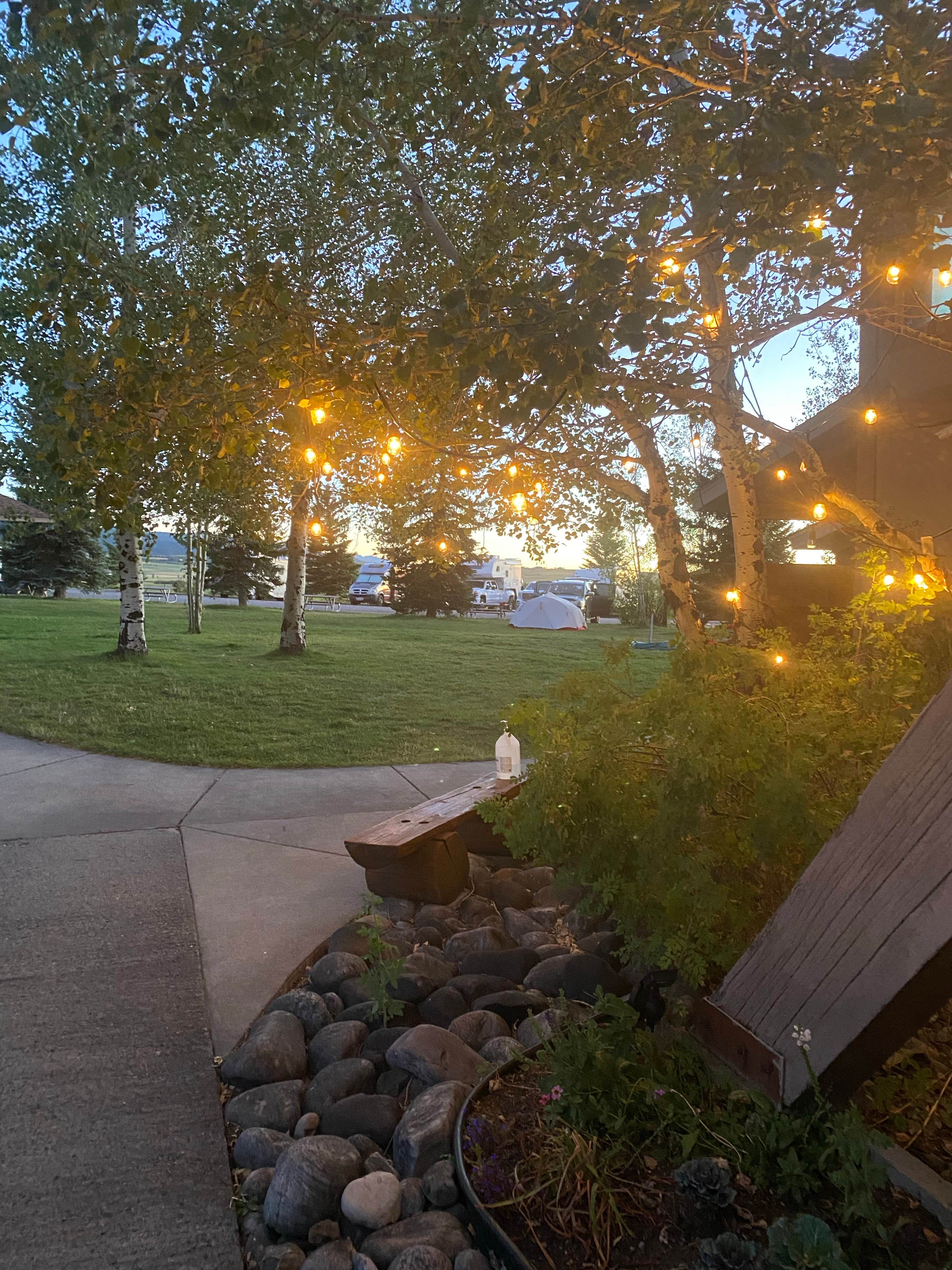 Camper submitted image from Bear Canyon Campground - 3