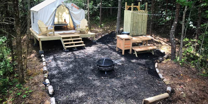 Camper submitted image from Olde English Farm