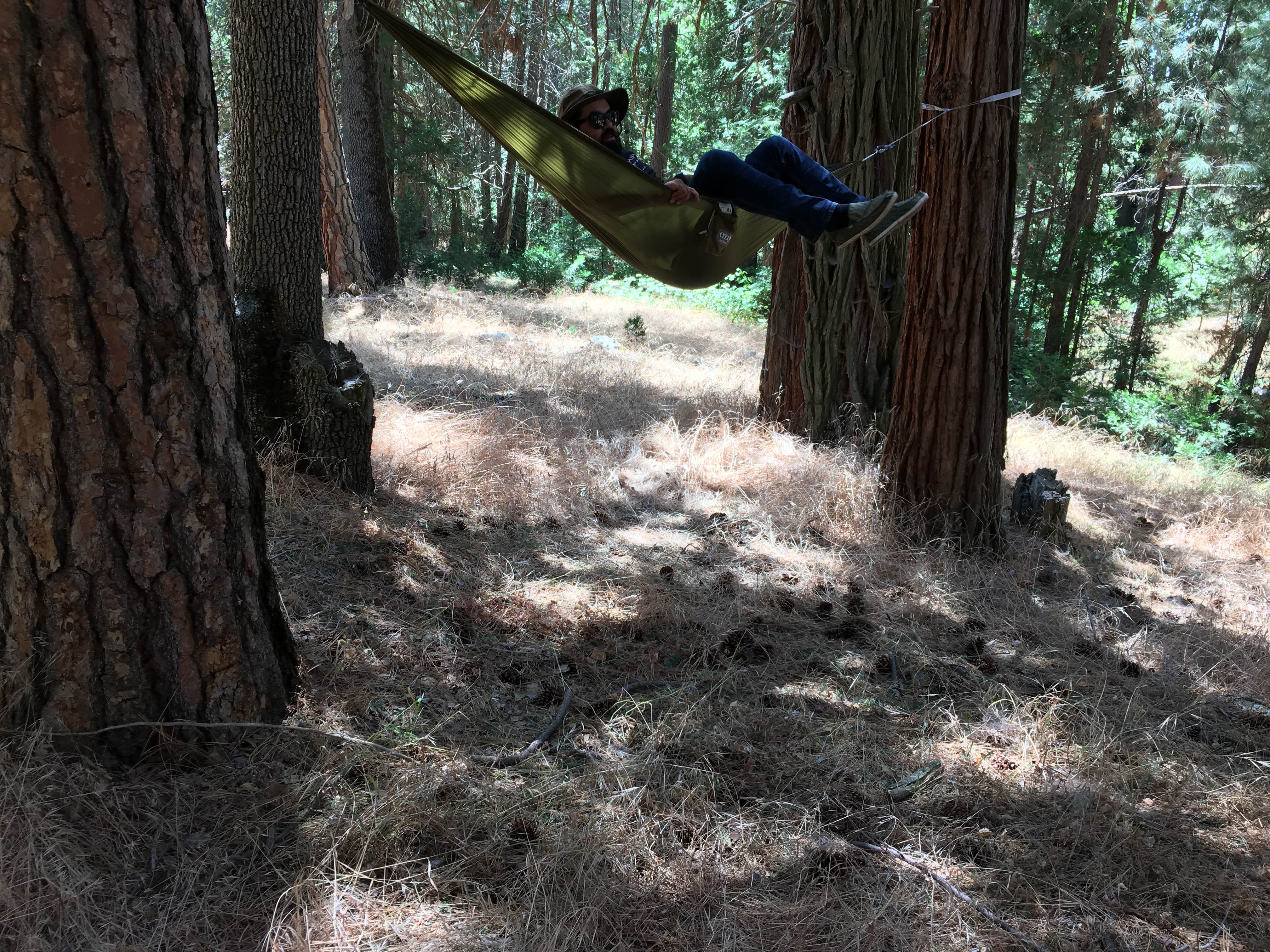 Alder Creek Campground - Tentatively closed for 2022