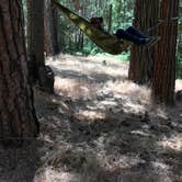 Review photo of Alder Creek Campground - Tentatively closed for 2022 by Raul P., July 7, 2016
