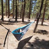 Review photo of Hanna Flat Campground by Trisha P., September 4, 2020