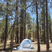 Review photo of Hanna Flat Campground by Trisha P., September 4, 2020