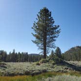 Review photo of Hanna Flat Campground by Trisha P., September 4, 2020