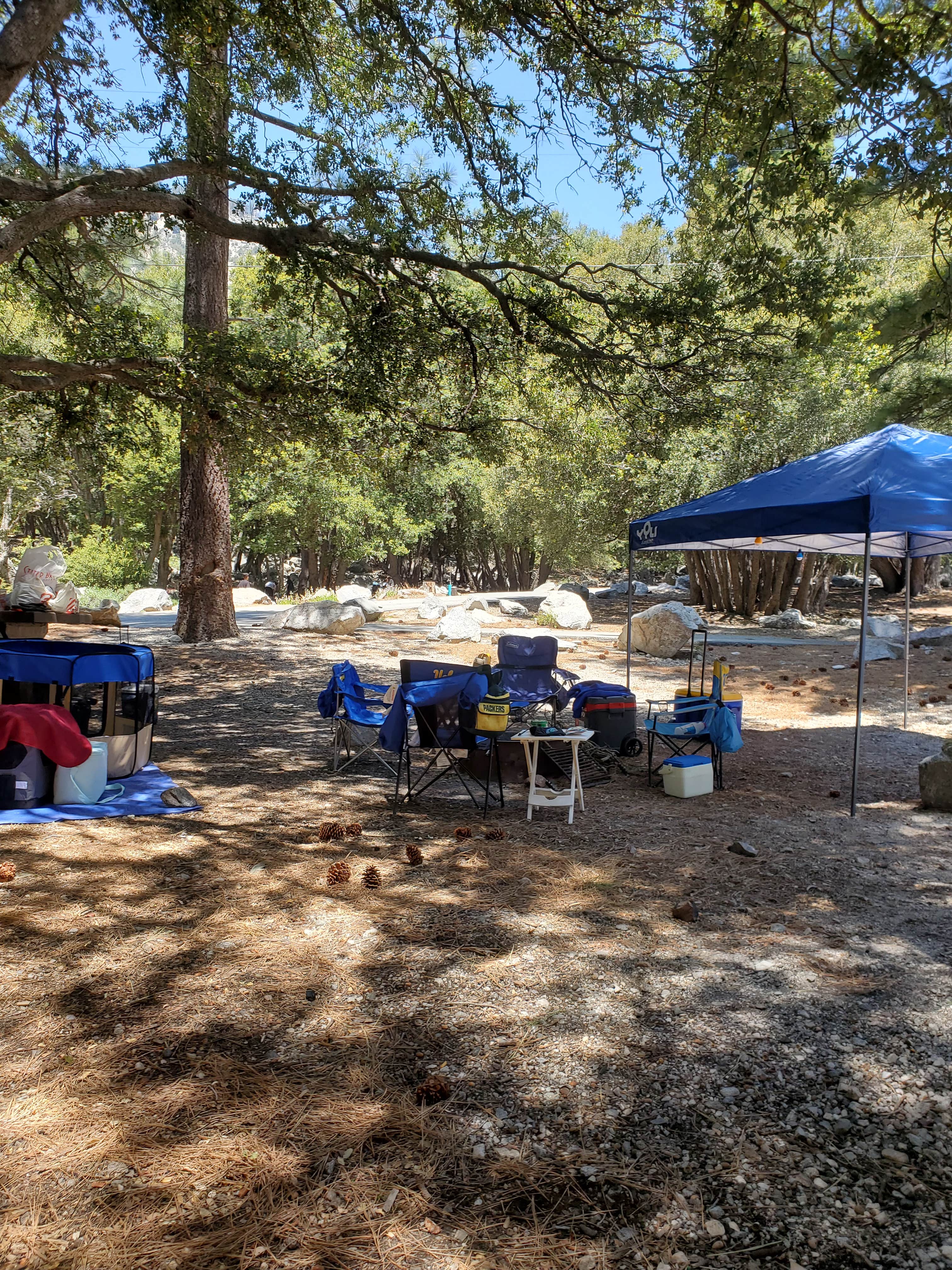 Trisha P.'s photo at Crystal Lake Rec Area Campground near Valyermo, CA