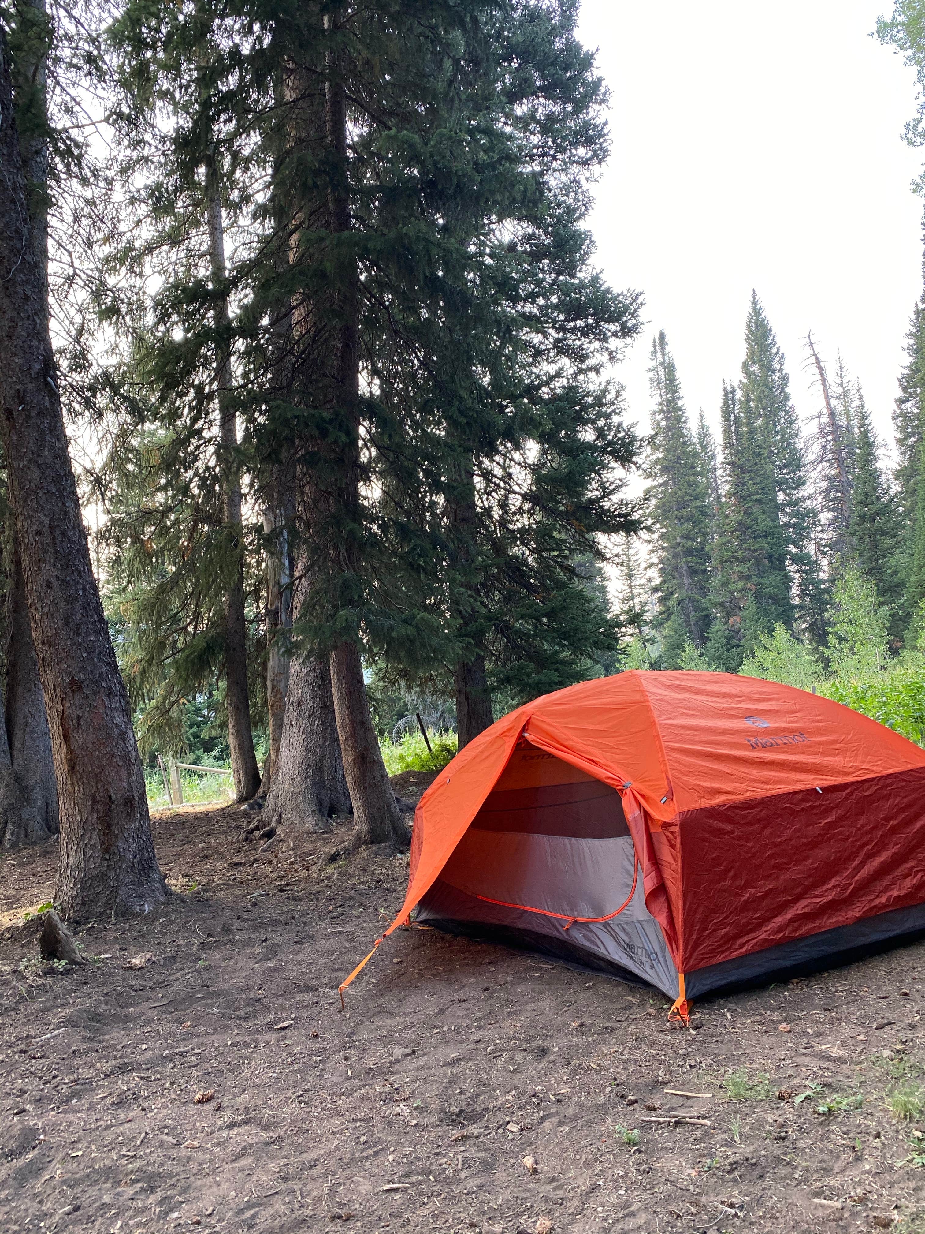 Kate L.'s photo at Red Banks Campground near North Logan, UT