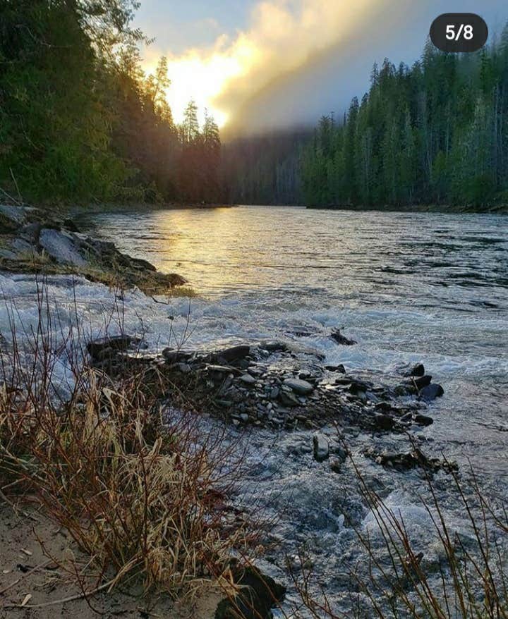 Camping near River Junction RV Park: Wild Goose Campground, Kooskia, Idaho