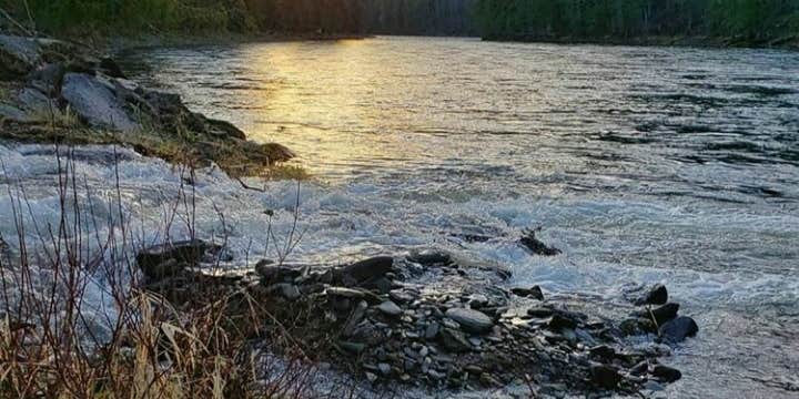 Camper submitted image from Wild Goose Campground