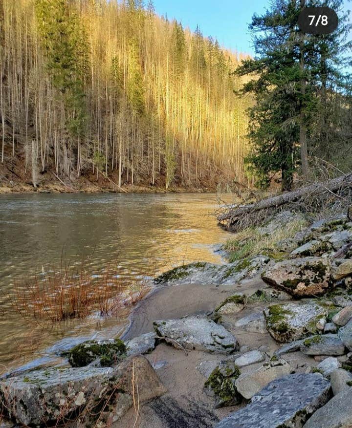 Wild Goose Campground The Dyrt