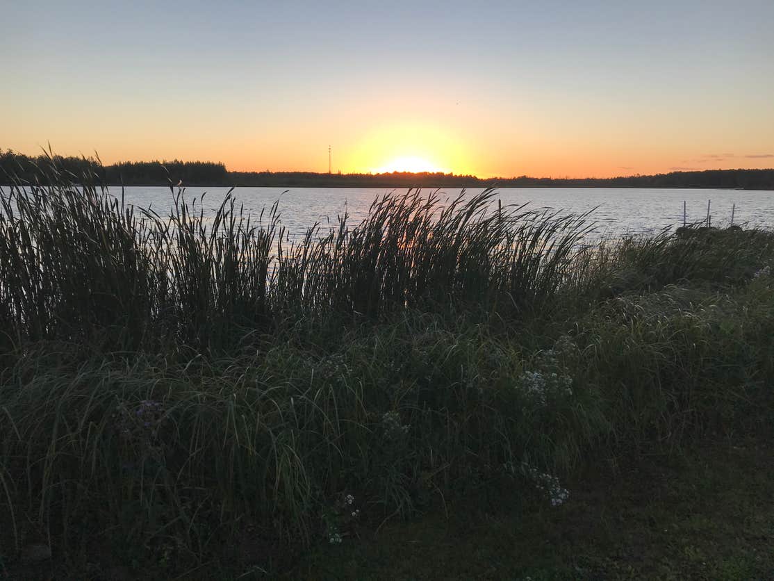 Bagley City Park The Dyrt