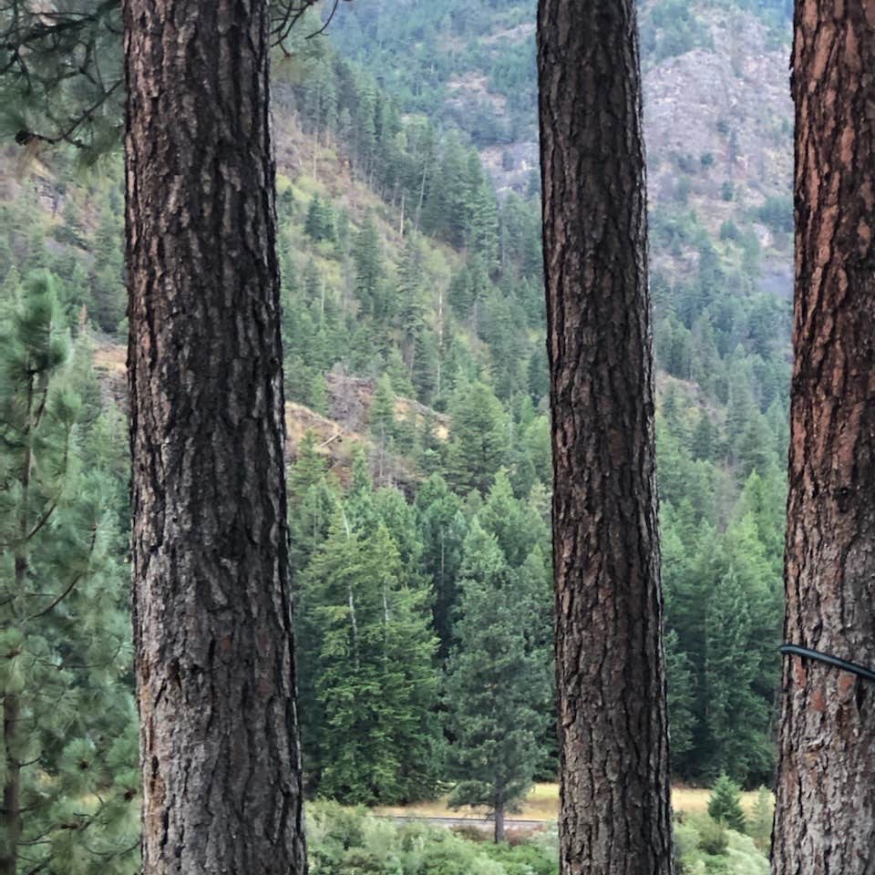 River Edge Resort and Casino Camping Alberton, MT