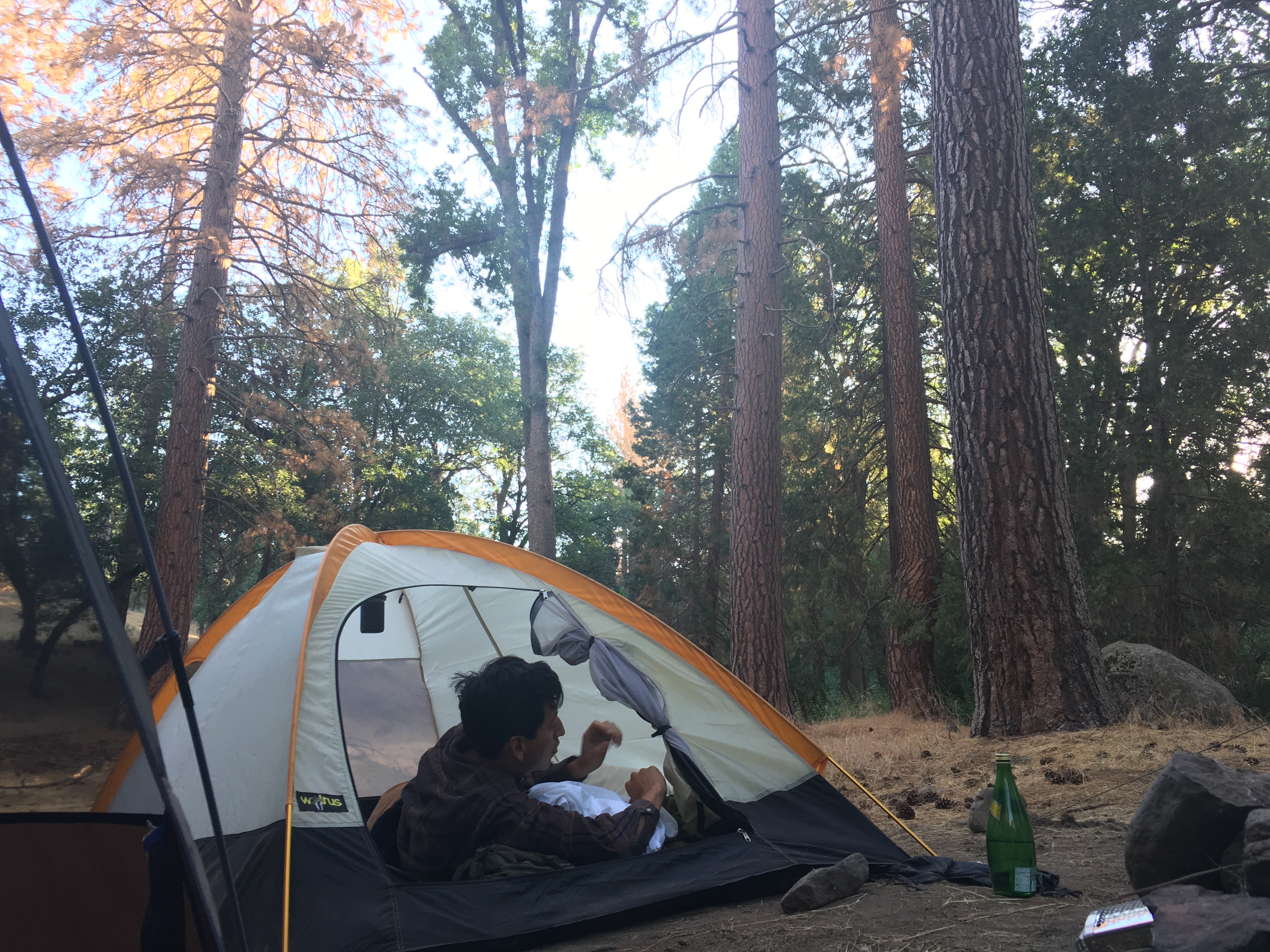 Camper submitted image from Alder Creek Campground - Tentatively closed for 2022 - 2