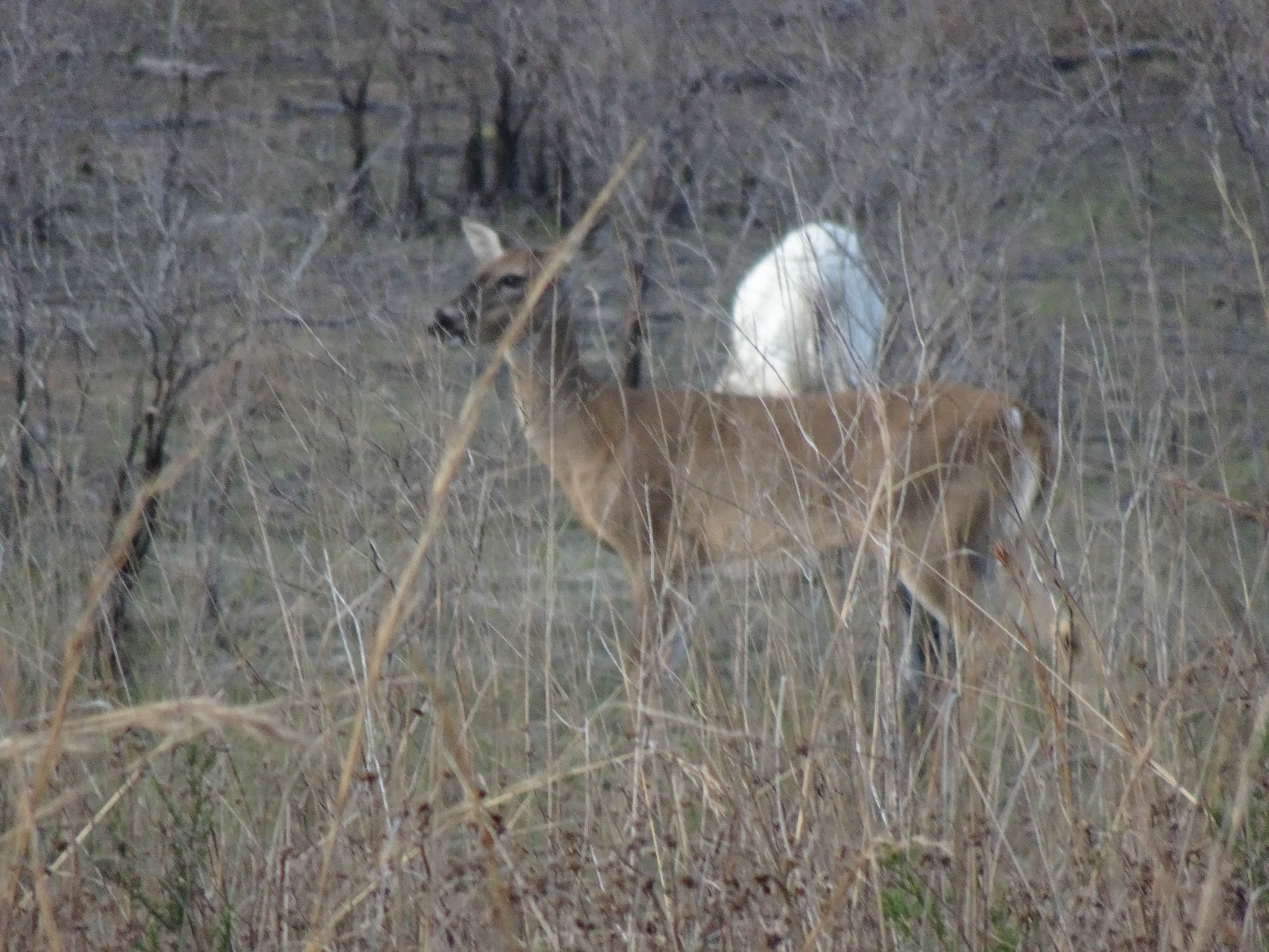 Camper-submitted photo at Ochlockonee River State Park Campground near Apalachicola National Forest