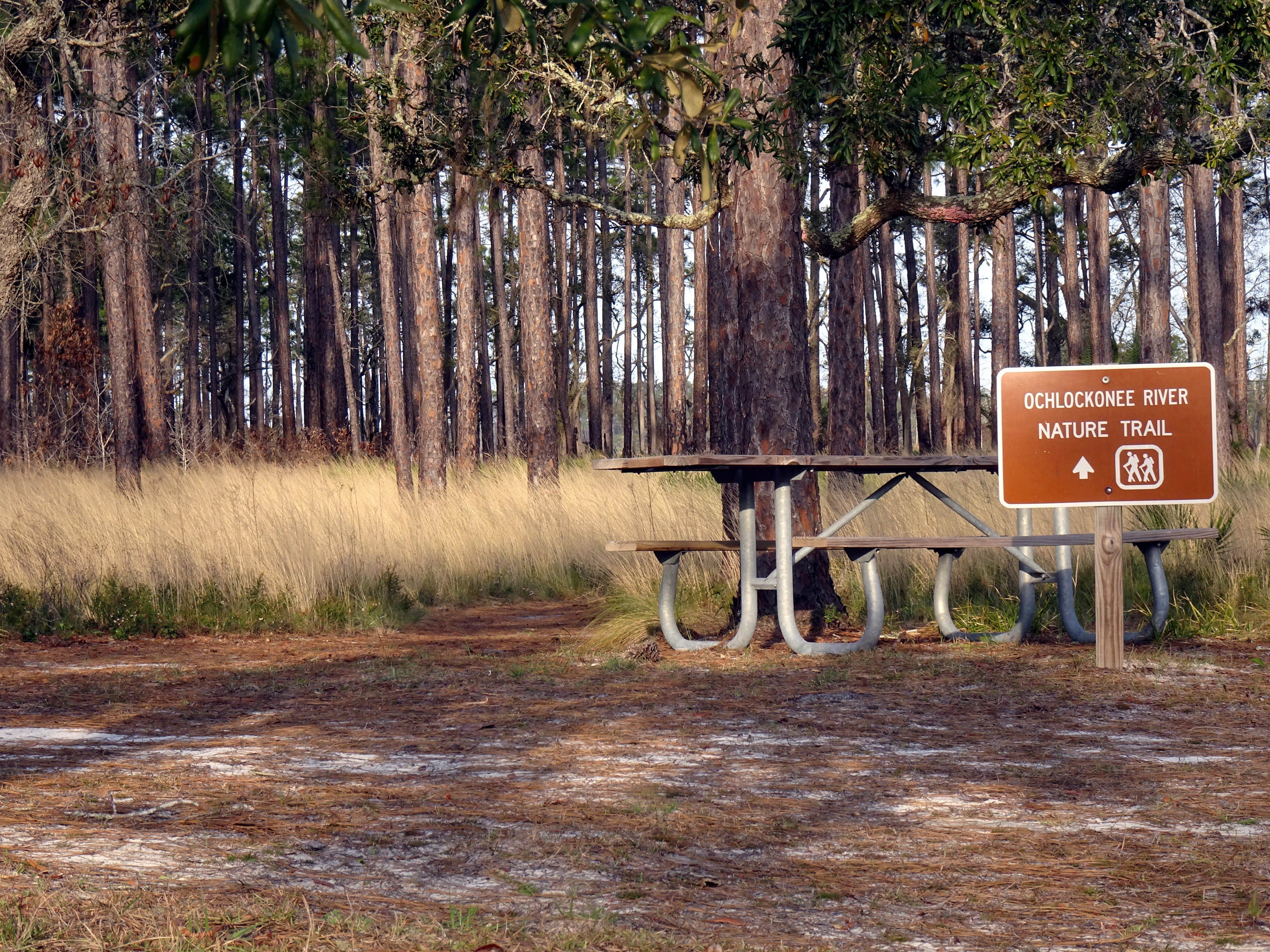 Camper-submitted photo at Ochlockonee River State Park Campground near Hosford, FL