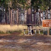 Review photo of Ochlockonee River State Park Campground by Annell N., September 4, 2020