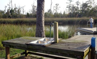 Camper-submitted photo from Ochlockonee River State Park