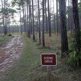 Review photo of Ochlockonee River State Park Campground by Annell N., September 4, 2020