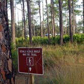 Review photo of Ochlockonee River State Park Campground by Annell N., September 4, 2020