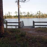 Review photo of Ochlockonee River State Park Campground by Annell N., September 4, 2020