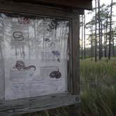 Review photo of Ochlockonee River State Park Campground by Annell N., September 4, 2020