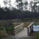 Review photo of Ochlockonee River State Park Campground by Annell N., September 4, 2020