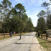 Review photo of Ochlockonee River State Park Campground by Annell N., September 4, 2020