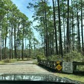 Review photo of Ochlockonee River State Park Campground by Annell N., September 4, 2020