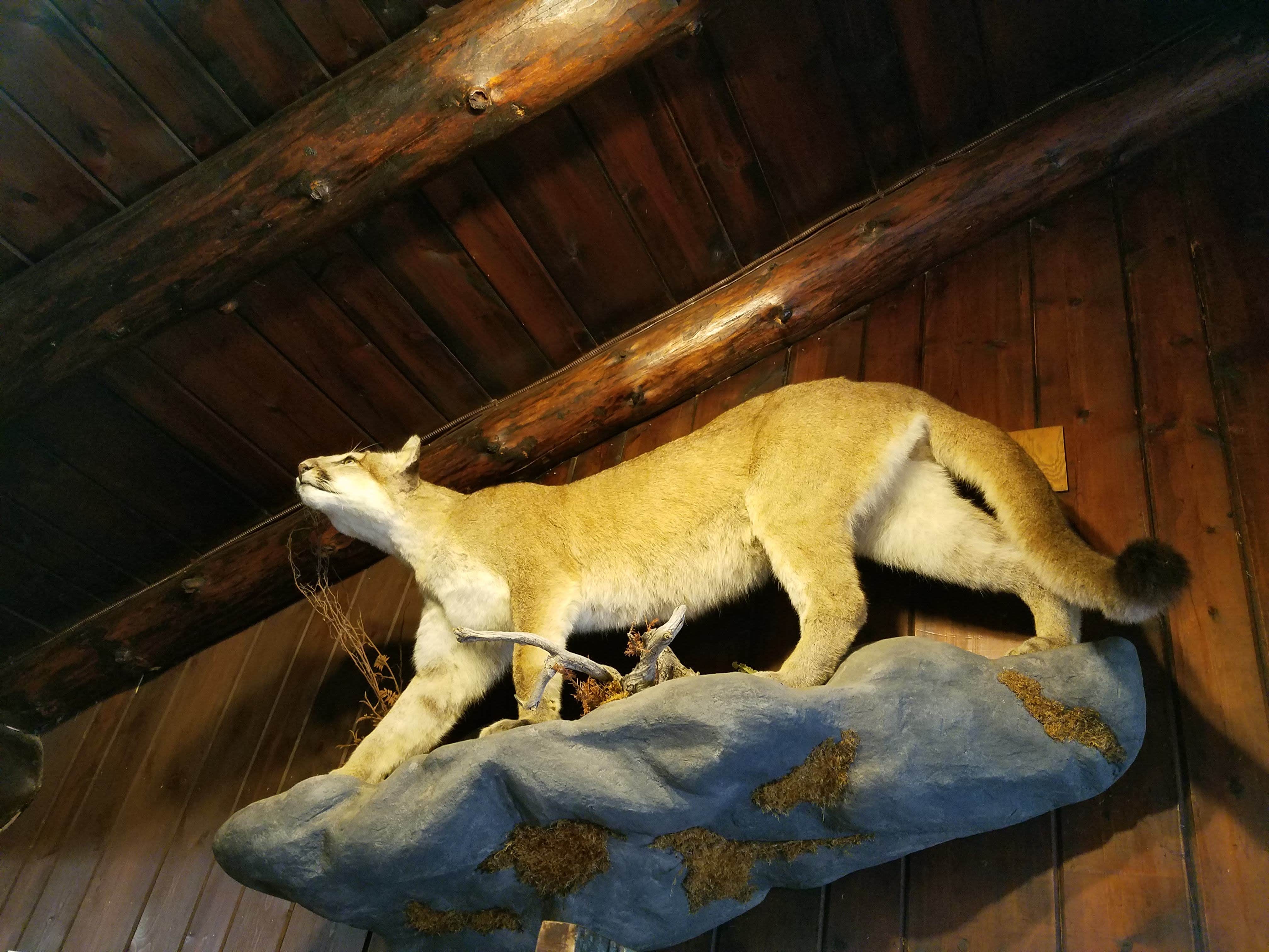 Camper-submitted photo at Stockade North Campground — Custer State Park near Fairburn, SD